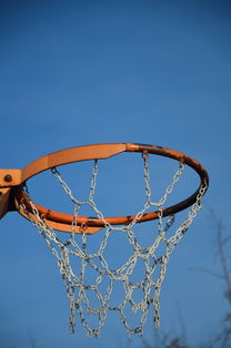 开云ky官网-NBA球队球员培养规划设计，nba对球员的要求是什么