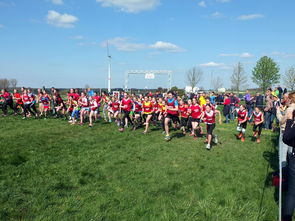 开云体育app注册-青少年体育锻炼促进策略与实践，青少年体育锻炼方案