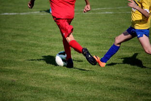 开云体育足球-国家体育场馆运营管理论坛探讨智能化方向，国家体育总局体育场馆运营管理办法