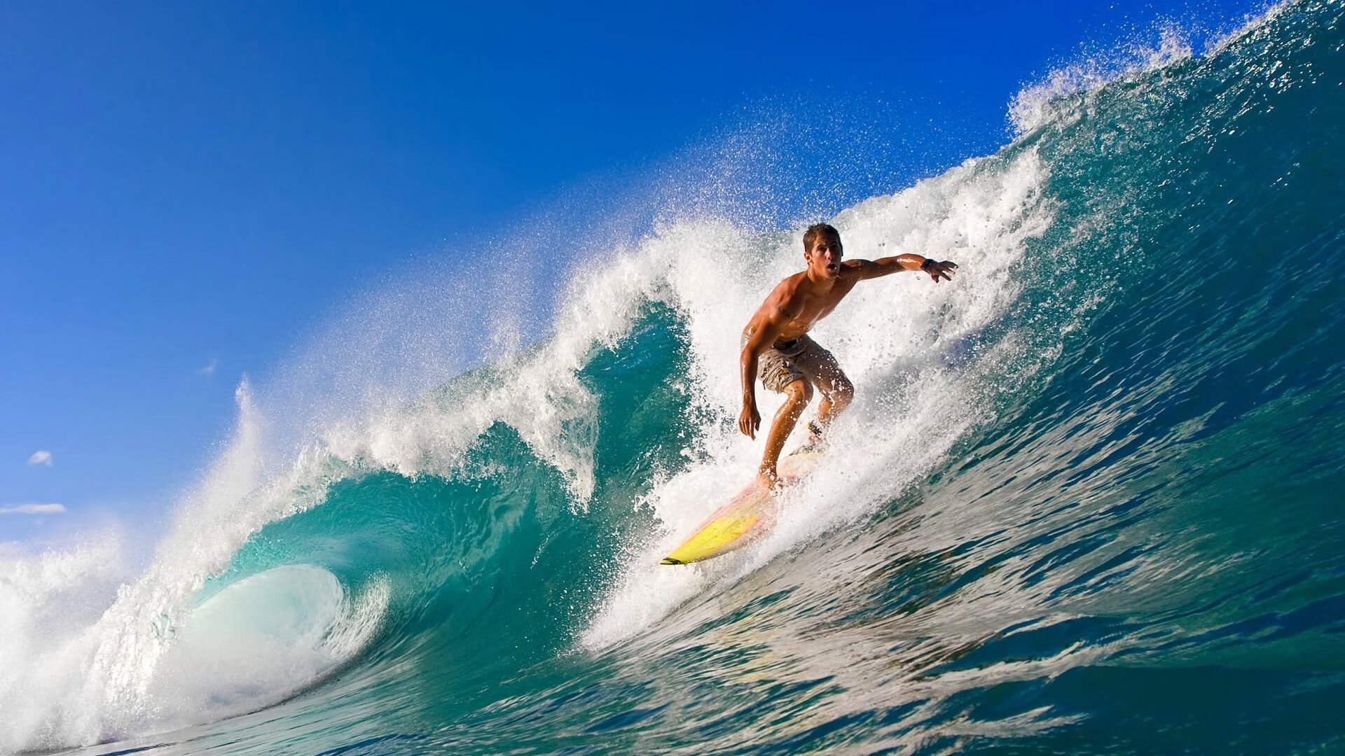 开云在线登入-《冠军奥运篇》独家揭秘蔡赟的伟大成长史！，蔡赟世界冠军